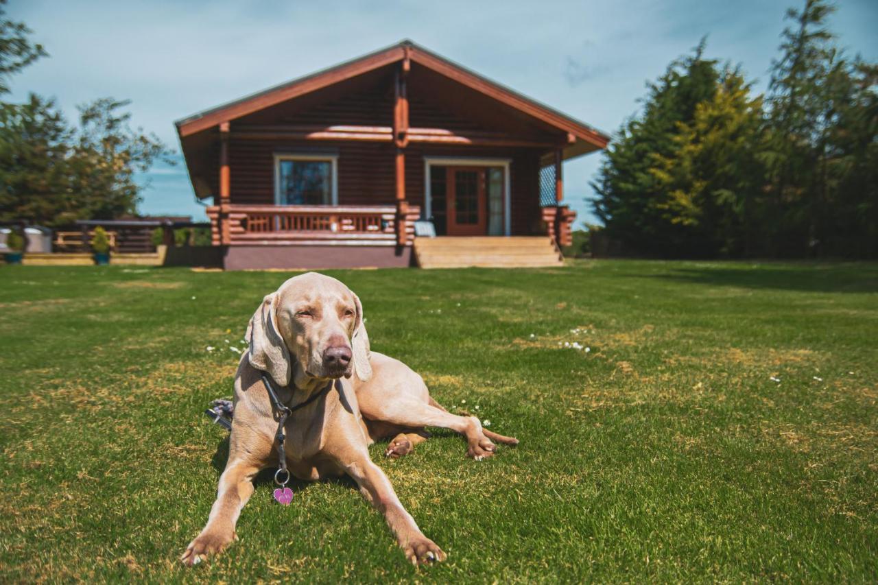 Tomatin - Luxury Two Bedroom Log Cabin With Hot Tub Berwick Upon Tweed Exteriör bild